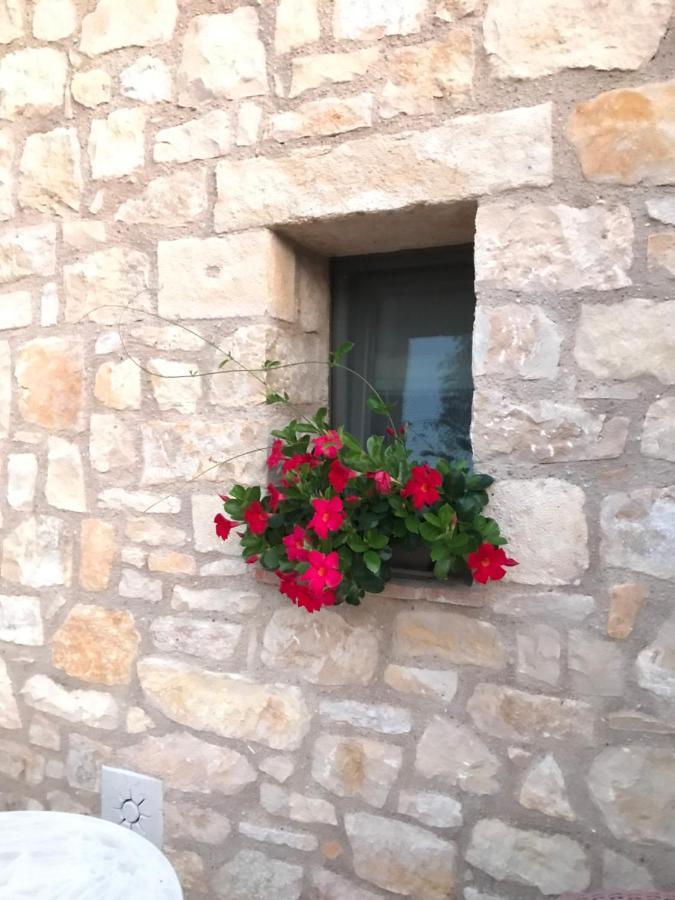 Luxury Apartments San Zeno Colognola ai Colli Екстериор снимка